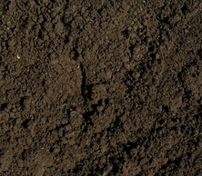 Terre noire (top soil)